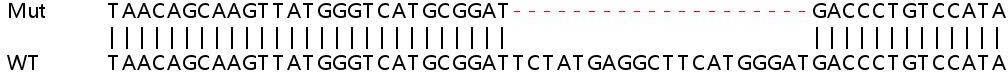 Sanger Sequencing - Human HDAC2 knockout HEK-293T cell line (AB266588), expandable thumbnail
