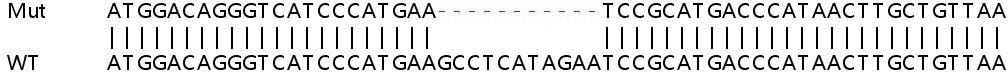 Sanger Sequencing - Human HDAC2 knockout HEK-293T cell lysate (AB256939), expandable thumbnail
