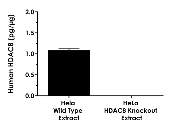 Sandwich ELISA - Human HDAC8 ELISA Kit (AB282872)