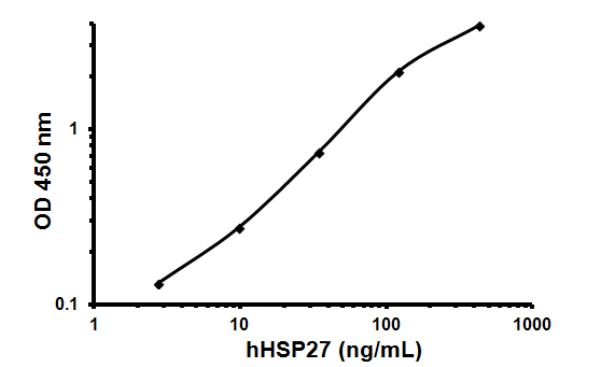 Sandwich ELISA - Human Heat Shock Protein 27 ELISA Kit (HSP27) (AB108862)