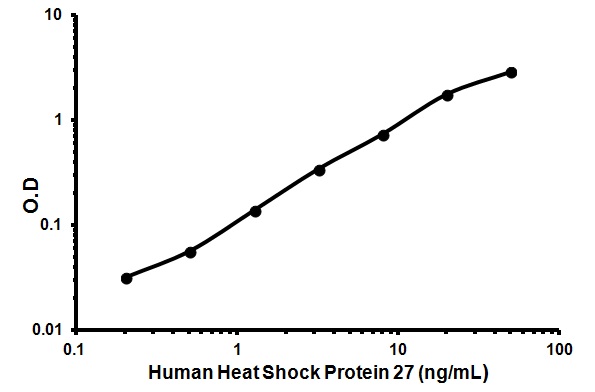 Sandwich ELISA - Human Heat Shock Protein 27 ELISA Kit (HSP27) (AB113334), expandable thumbnail