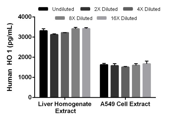 Sandwich ELISA - Human Heme Oxygenase 1 ELISA Kit (AB207621), expandable thumbnail
