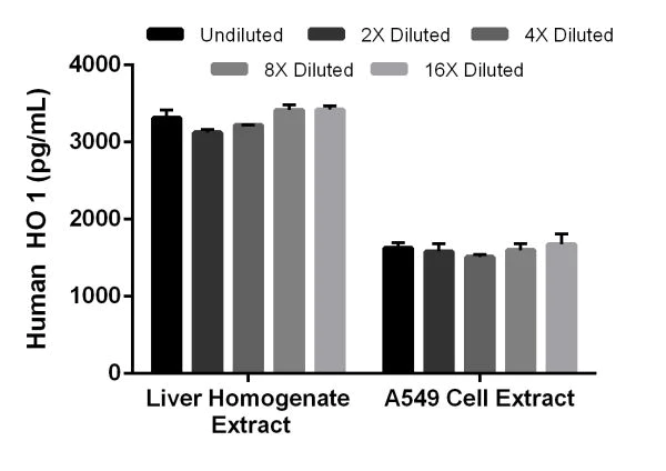 Sandwich ELISA - Human Heme Oxygenase 1 ELISA Kit (AB207621)