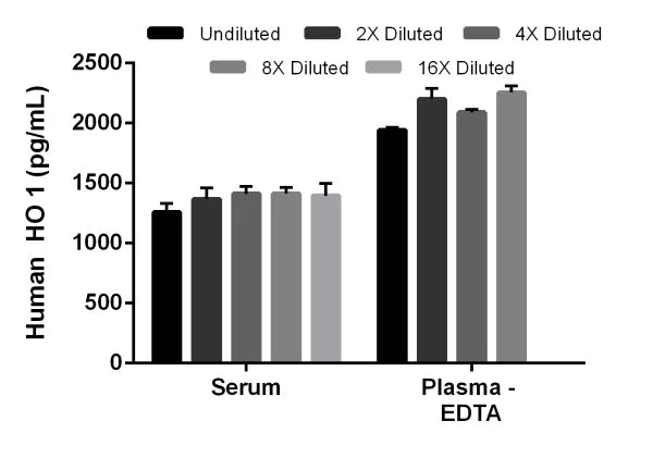 Sandwich ELISA - Human Heme Oxygenase 1 ELISA Kit (AB207621)