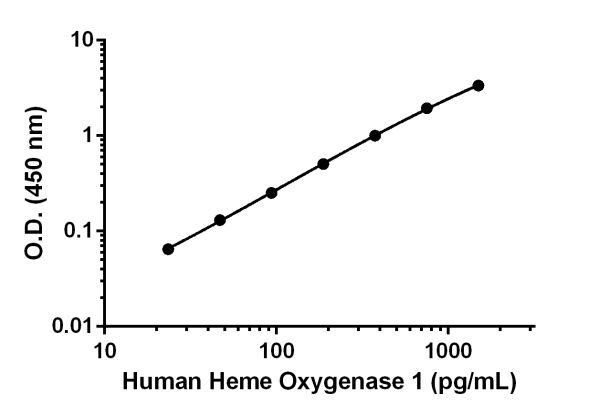 Sandwich ELISA - Human Heme Oxygenase 1 ELISA Kit (AB207621), expandable thumbnail
