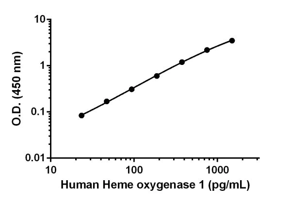 Sandwich ELISA - Human Heme Oxygenase 1 ELISA Kit (AB207621)