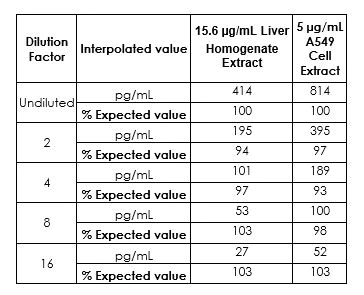 Sandwich ELISA - Human Heme Oxygenase 1 ELISA Kit (AB207621)