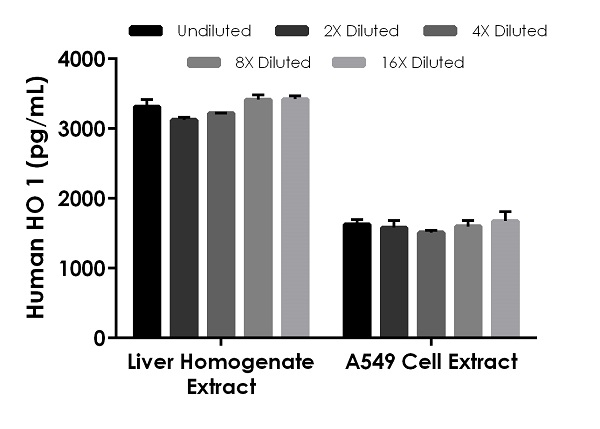 Sandwich ELISA - Human Heme Oxygenase 1 ELISA Kit, Fluorescent (AB229429), expandable thumbnail