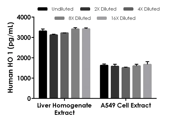 Sandwich ELISA - Human Heme Oxygenase 1 ELISA Kit, Fluorescent (AB229429)