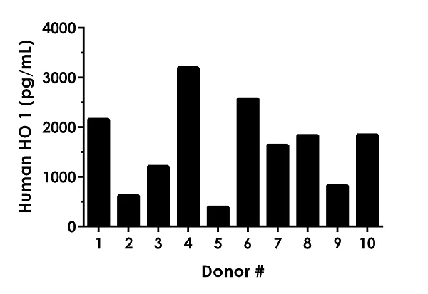 Sandwich ELISA - Human Heme Oxygenase 1 ELISA Kit, Fluorescent (AB229429)
