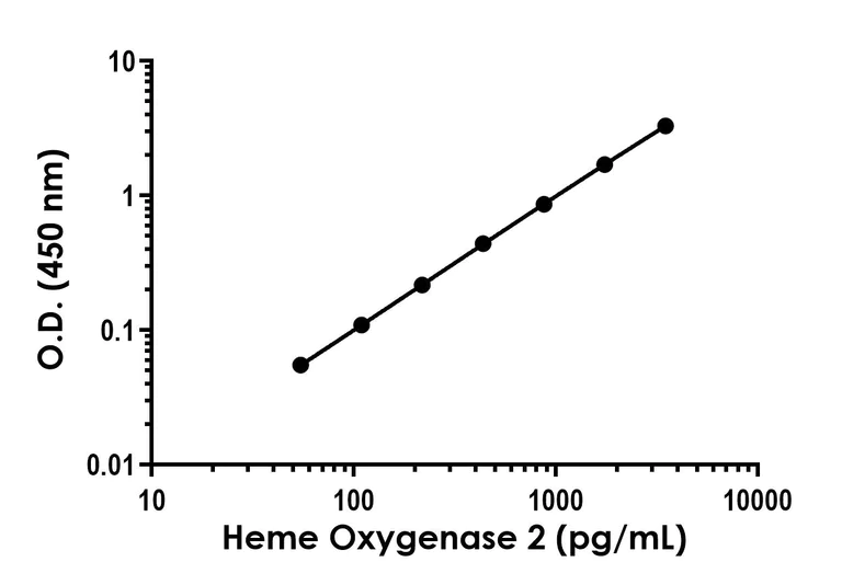 Sandwich ELISA - Human Heme Oxygenase 2 (HO-2) ELISA Kit (AB324502)