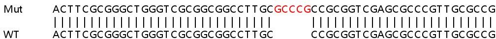 Sanger Sequencing - Human HERC5 knockout A549 cell line (AB267201), expandable thumbnail