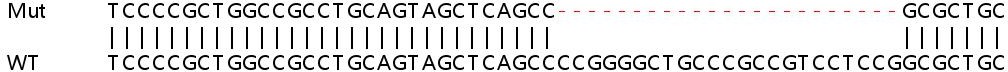 Sanger Sequencing - Human HERC6 knockout A549 cell line (AB267001), expandable thumbnail