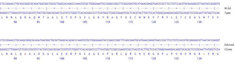 Next Generation Sequencing - Human HES1 knockout MCF7 cell line (AB269495)
