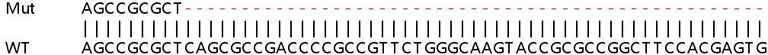 Sanger Sequencing - Human HES4 knockout A549 cell lysate (AB258901)