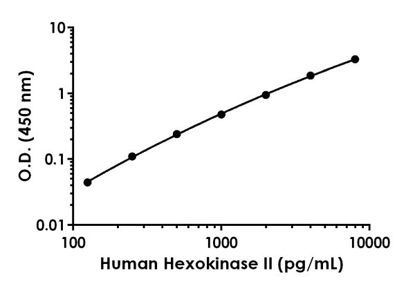 Sandwich ELISA - Human Hexokinase II ELISA Kit (AB219043)