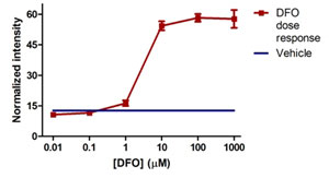 In-Cell ELISA - Human Hif1 + PDK1 Hypoxia In Cell ELISA Kit (IR) (AB125299), expandable thumbnail