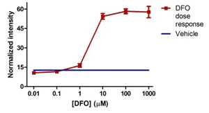 In-Cell ELISA - Human Hif1 + PDK1 Hypoxia In Cell ELISA Kit (IR) (AB125299)