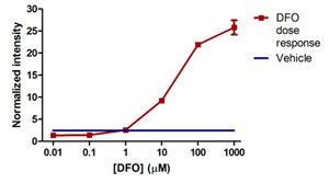 In-Cell ELISA - Human Hif1 + PDK1 Hypoxia In Cell ELISA Kit (IR) (AB125299), expandable thumbnail
