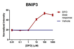 In-Cell ELISA - Human Hif1a + BNIP3 Hypoxia In Cell ELISA Kit (IR) (AB129733), expandable thumbnail