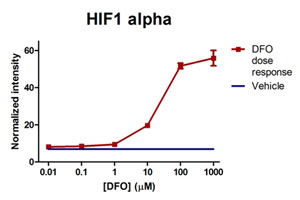 In-Cell ELISA - Human Hif1a + BNIP3 Hypoxia In Cell ELISA Kit (IR) (ab129733), expandable thumbnail