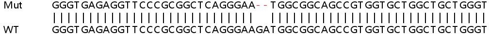 Sanger Sequencing - Human HINT2 knockout HEK-293T cell line (AB266498)