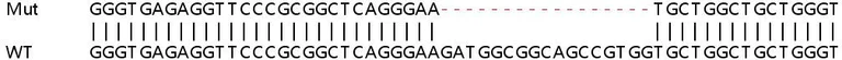 Sanger Sequencing - Human HINT2 knockout HEK-293T cell line (AB266498)