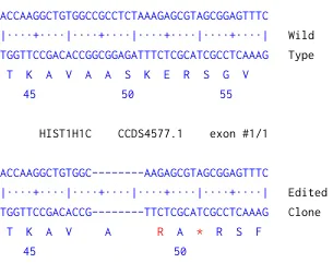 Next Generation Sequencing - Human HIST1H1C (Histone H1.2) knockout A549 cell line (AB261873)