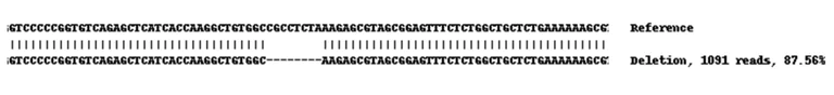 Next Generation Sequencing - Human HIST1H1C (Histone H1.2) knockout A549 cell lysate (AB261682)