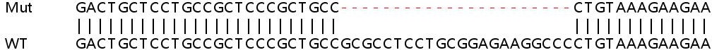 Sanger Sequencing - Human HIST1H1C (Histone H1.2) knockout HeLa cell lysate (AB257218), expandable thumbnail