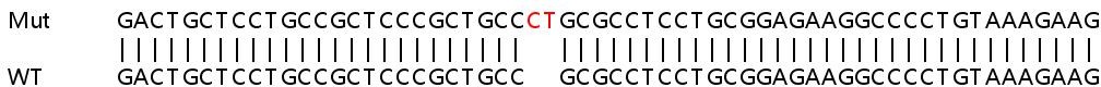 Sanger Sequencing - Human HIST1H1C (Histone H1.2) knockout HeLa cell lysate (AB257218), expandable thumbnail
