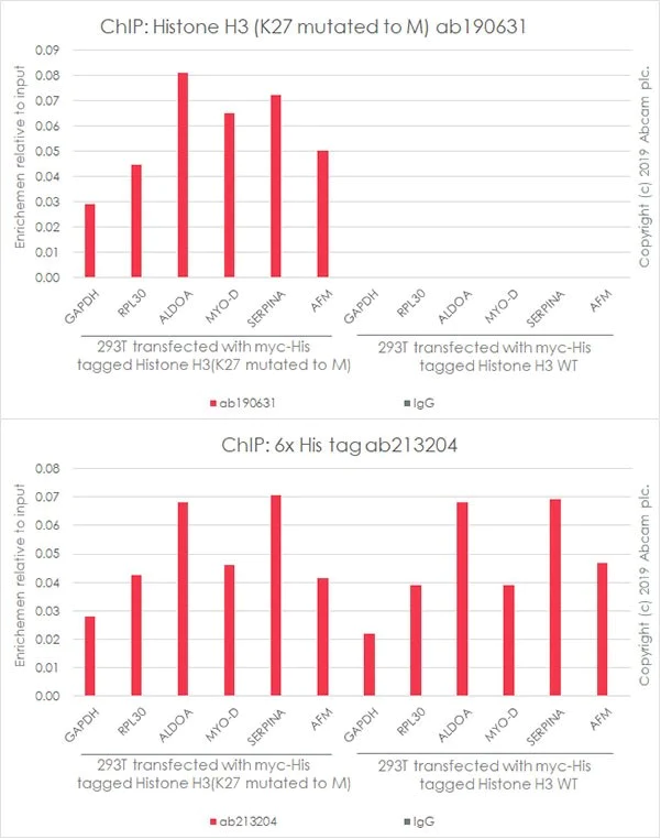 ChIP - Human Histone H3 (Mutated K27M, K36M) + Histone H3.3 (Mutated G34W, G34V, G34R) Antibody Panel (AB274411)