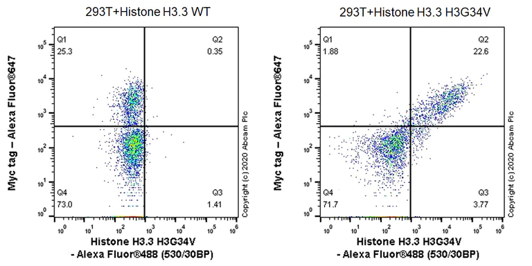 Flow Cytometry (Intracellular) - Human Histone H3 (Mutated K27M, K36M) + Histone H3.3 (Mutated G34W, G34V, G34R) Antibody Panel (AB274411)
