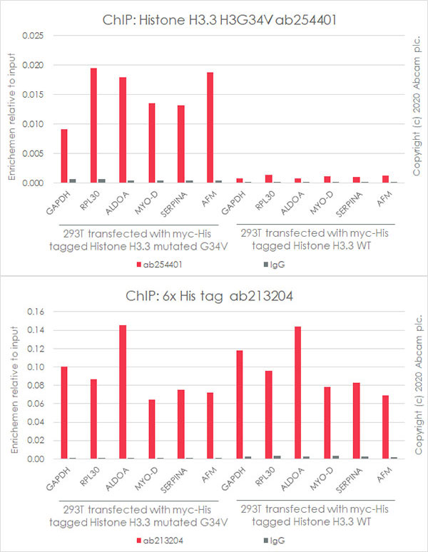 ChIP - Human Histone H3.3 (Mutated G34W, G34V, G34R) Antibody Panel (AB274410), expandable thumbnail