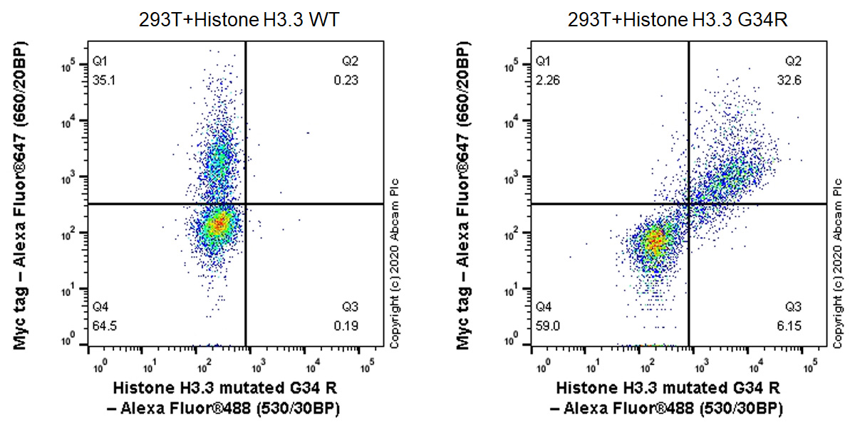 Flow Cytometry (Intracellular) - Human Histone H3.3 (Mutated G34W, G34V, G34R) Antibody Panel (ab274410), expandable thumbnail