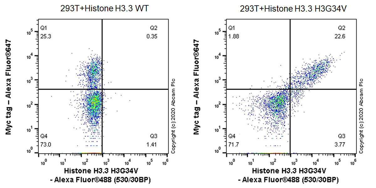 Flow Cytometry (Intracellular) - Human Histone H3.3 (Mutated G34W, G34V, G34R) Antibody Panel (ab274410), expandable thumbnail