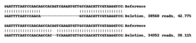 Next Generation Sequencing - Human HK1 (Hexokinase 1) knockout HEK-293 cell line (AB262477)