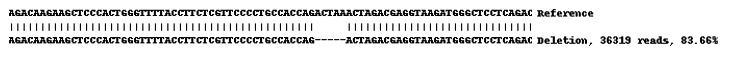Next Generation Sequencing - Human HK2 (Hexokinase II) knockout HEK-293 cell line (AB269485)