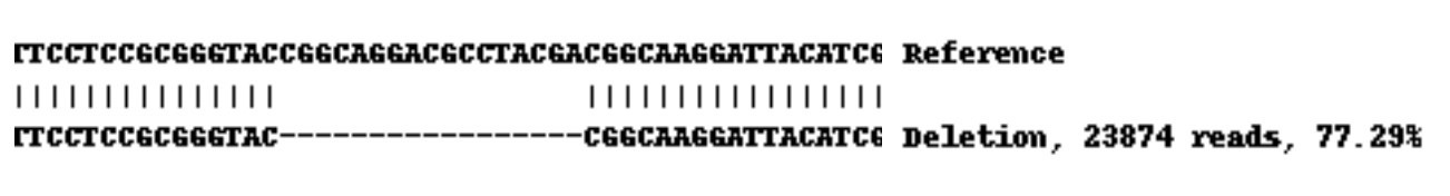 Next Generation Sequencing - Human HLA-A knockout A-431 cell line (AB261894), expandable thumbnail