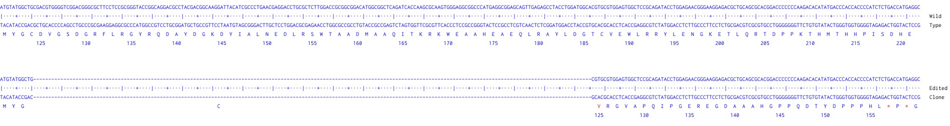 Next Generation Sequencing - Human HLA-A knockout A549 cell line (AB287473), expandable thumbnail