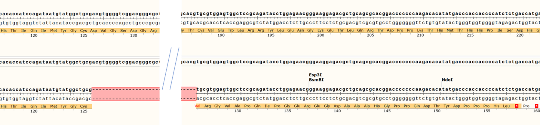 Sanger Sequencing - Human HLA-A knockout A549 cell line (AB287473), expandable thumbnail