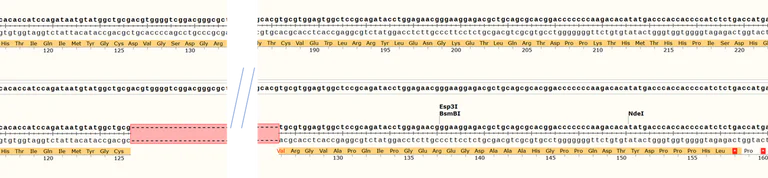 Sanger Sequencing - Human HLA-A knockout A549 cell line (AB287473)
