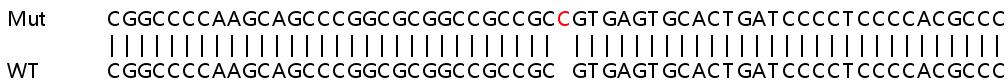 Sanger Sequencing - Human HMG20B (BRAF35) knockout HEK-293T cell line (AB266240), expandable thumbnail