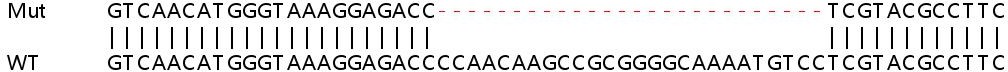 Sanger Sequencing - Human HMGB2 knockout HEK-293T cell lysate (AB257156), expandable thumbnail
