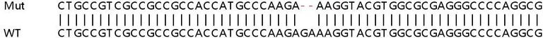 Sanger Sequencing - Human HMGN2 knockout HEK-293T cell line (AB266700)