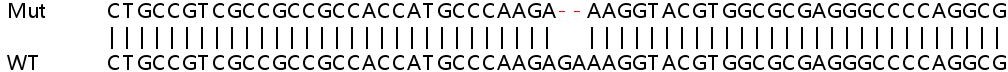 Sanger Sequencing - Human HMGN2 knockout HEK-293T cell lysate (AB257988)
