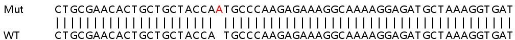 Human HMGN4 knockout HeLa cell lysate