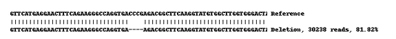 Next Generation Sequencing - Human HMOX1 (Heme Oxygenase 1) knockout A549 cell line (AB269503)