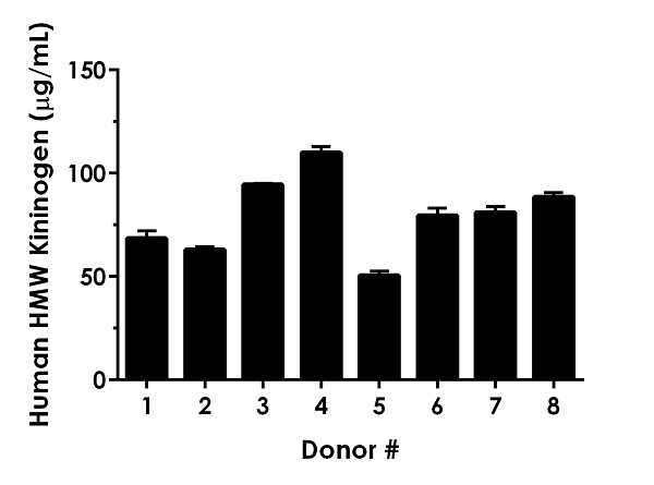 Sandwich ELISA - Human HMW Kininogen ELISA Kit (AB189574)