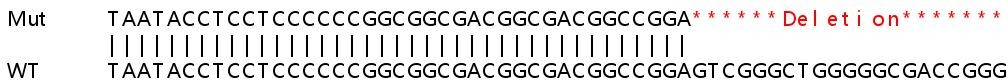 Human HNRNPA3 knockout HEK-293T cell lysate